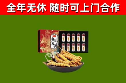 资兴回收冬虫夏草价格